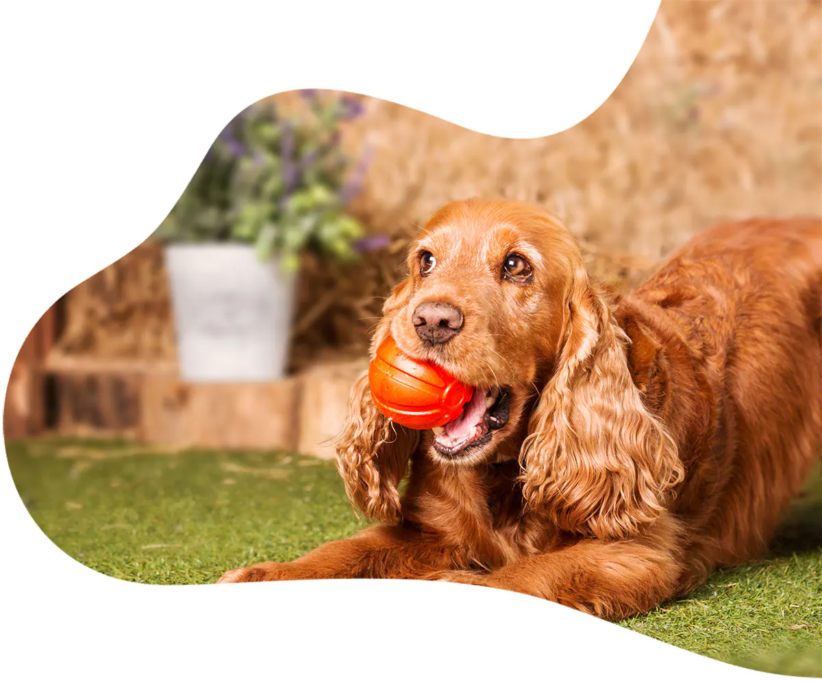 Elevate Your Everyday Style